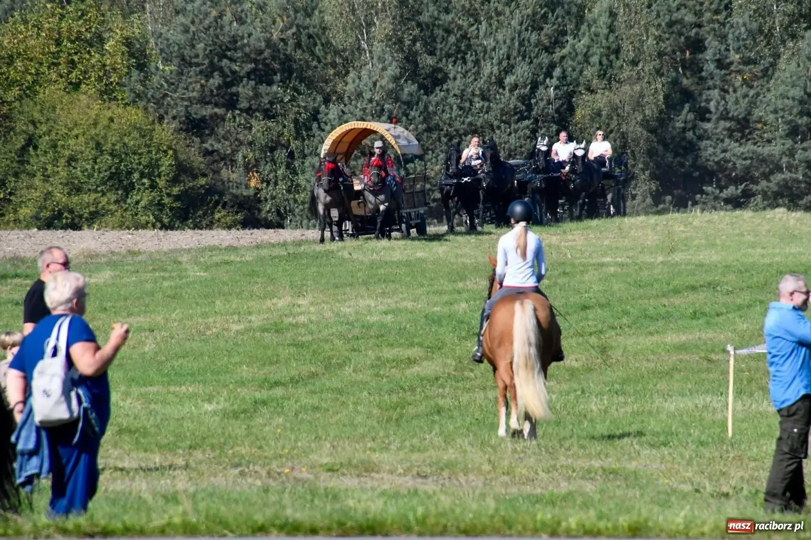 Piknik św. Huberta w Łańcach – tradycja, konie i wyjątkowa atmosfera - zdjęcie 9